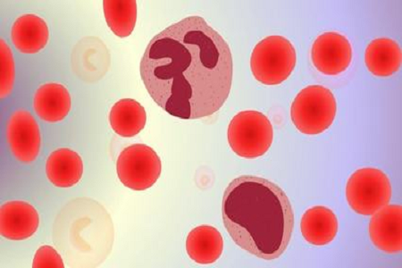 மேம்பட்ட இரத்த கலாச்சார பாட்டிலுடன் பாபியோ இரத்த ஓட்டம் தொற்று நோயறிதலை மேம்படுத்துகிறது