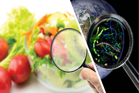 BABIO உலகளாவிய உணவுப் பாதுகாப்புக் கட்டுப்பாட்டிற்காக Aflatoxin B1 ரேபிட் டெஸ்ட் கேசட்டை அறிமுகப்படுத்துகிறது
