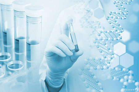 அகர் மீடியம் பி (கேசீன் சோயா பீன் டைஜஸ்ட் அகர்) - நுண்ணுயிர் கலாச்சாரத்திற்கான நம்பகமான தேர்வு